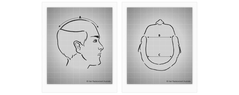 Template - Head Measurements